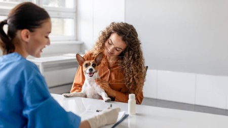 Téléchargez les photos : Dans le bureau des vétérinaires, femme aux cheveux bouclés caresse doucement son sourire Jack Russell Terrier, qui semble à l'aise lors de la consultation, panorama avec espace libre - en image libre de droit