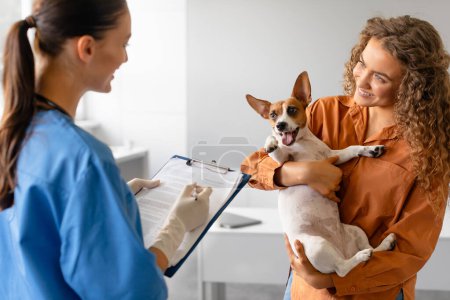 Kleiner Jack Russell Terrier sieht zu, wie seine Besitzerin sich mit einer Tierärztin berät, die in einer modernen Tierklinik medizinische Diagramme hält