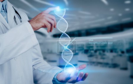 Photo for Cropped of man doctor in white medical uniform holds hologram of 3D model of DNA chain with both hands, against modern clinic or laboratory background, illustrating medical expertise, copy space - Royalty Free Image
