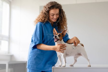 Téléchargez les photos : Vétérinaire bouclé en blouse bleue écoute le battement de cœur de Jack Russell Terrier souriant pendant le check-up dans une clinique vétérinaire lumineuse, espace de copie - en image libre de droit