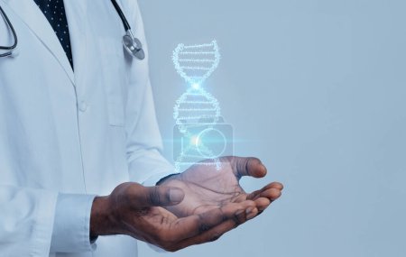 Photo for African american medical doctor geneticist hands holding DNA chain hologram over grey background, cropped, empty space for advertisement. Consultation with geneticist, modern healthcare - Royalty Free Image
