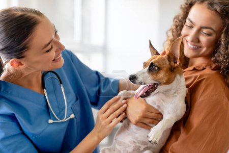 Téléchargez les photos : Femme tenant Jack Russell Terrier pendant le check-up à la clinique vétérinaire, vétérinaire femelle tient chien à l'écoute avec stéthoscope et souriant à l'animal de compagnie - en image libre de droit