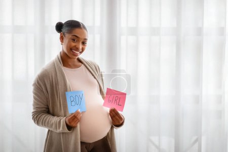 Téléchargez les photos : Positif souriant jeune afro-américaine enceinte avec gros ventre montrant garçon et fille cartes roses et bleues autocollants, debout à côté de la fenêtre à la maison. Concept révélateur de genre - en image libre de droit