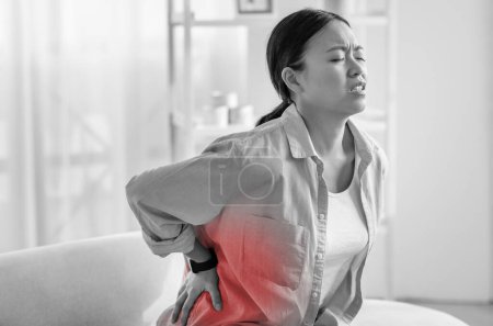 Photo for Sad millennial asian woman sitting on couch in cozy living room at home, touching red lower back, feeling pain after nap on sofa, suffer from office syndrome after work, copy space, monochrome photo - Royalty Free Image