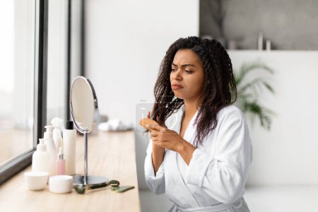 Photo for Worried black woman in bathrobe struggling with tangled hair in hairbrush, african american female frowning while making hair care routine at home, looking at mirror in bathroom, free space - Royalty Free Image