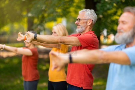 Téléchargez les photos : Adultes âgés participant à des exercices d'étirement, étendant leurs bras vers l'avant, hommes et femmes âgés faisant du yoga, s'entraînant à l'extérieur dans un parc vert, jouissant d'un mode de vie sain, se concentrant sélectivement - en image libre de droit