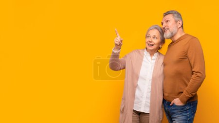 Téléchargez les photos : Joyeux couple de personnes âgées de la famille pointant du doigt l'espace vide maquette, recommandant une bonne offre ensemble, la promotion d'un excellent produit ou service sur fond de studio jaune. Panorama - en image libre de droit