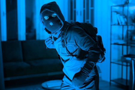 A sinister figure in a ski mask with a backpack sneaks through a dimly lit home, suggesting theft, danger, and crime. The blue tone adds to the eerie atmosphere