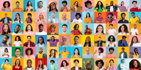 Téléchargez les photos : Une grille joyeuse d'individus divers rayonnant tous de bonheur avec leurs sourires brillants sur des fonds colorés uniques - en image libre de droit