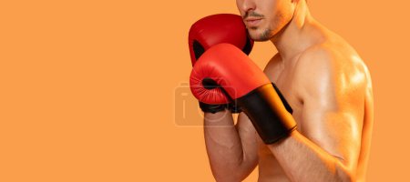 Téléchargez les photos : Un homme porte des gants de boxe sur un fond orange vif. Il semble prêt pour un combat, avec détermination dans sa position, recadré, panorama avec espace de copie - en image libre de droit