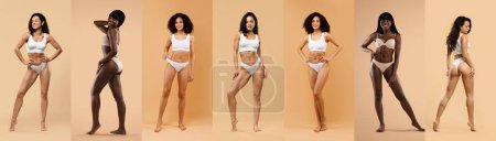 Señoras jóvenes multiétnicas posando en ropa interior sobre el fondo del estudio, demostrando cuerpos impresionantes bien ajustados, panorama, collage