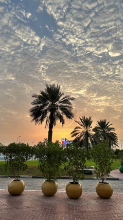 Photo for Morning view of palm trees silhouetted against a Dubai hotel backdrop - Royalty Free Image
