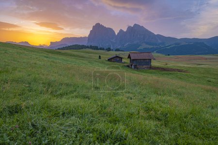 Photo for Alpe di Siusi (Seiser Alm), Europe's largest high-alpine pasture in South Tyrol. Captivating landscapes transition from summer's green waves to winter's snowy wonderland, a symphony of nature's contrast and beauty - Royalty Free Image