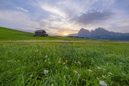 Photo for Golden hues paint the sky as the sun rises over Alpe di Siusi, casting a breathtaking glow on the vast alpine meadows and distant peaks - Royalty Free Image