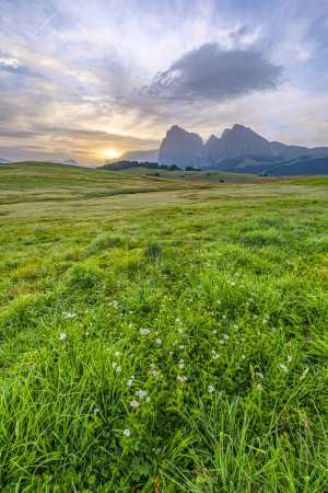 Photo for Alpe di Siusi at sunrise, green meadows, distant peaks, and a charming hut basking in the morning glow, a serene scene in the heart of the Dolomites - Royalty Free Image