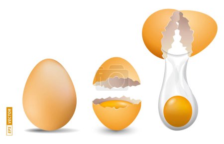 Ilustración de Conjunto de huevos de pollo brillantes realistas aislados. Renderizado 3D - Imagen libre de derechos