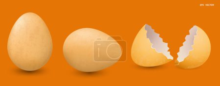 Ilustración de Conjunto de huevos de pollo brillantes realistas aislados. Renderizado 3D - Imagen libre de derechos