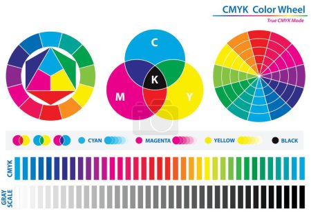 Illustration for Set of color palette diagram isolated. Eps - Royalty Free Image