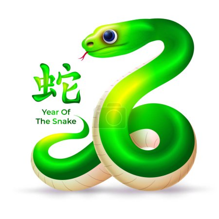 Téléchargez les illustrations : Nouvel An chinois 2025 signe, avec serpent de dessin animé vert mignon, (traduction : année du serpent) - en licence libre de droit