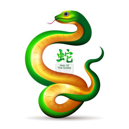 Téléchargez les illustrations : Serpent signe du zodiaque, symbole de la nouvelle année chinoise 2025 avec la couleur verte et dorée - en licence libre de droit