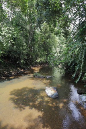 Foto de Vista vertical de un río afluente de Sri Lanka con poca cantidad de agua fluyendo y revelando grandes piedras en el lecho del río - Imagen libre de derechos