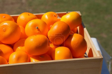 Foto de Muchas naranjas en una caja - Imagen libre de derechos