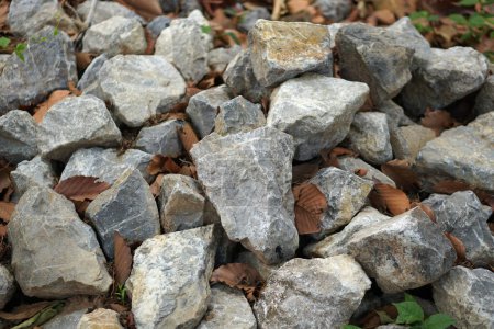 Photo for Stone background mixed with leaves - Royalty Free Image