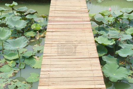 Photo for Wooden floor walkway in pond - Royalty Free Image