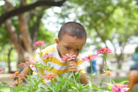 Téléchargez les photos : Garçon explorer les fleurs dans le jardin - en image libre de droit