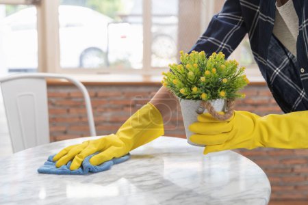 Téléchargez les photos : Femme nettoyant la surface de la table avec une serviette et un détergent pulvérisateur - en image libre de droit