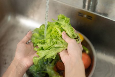 Foto de Primer plano de las manos personas lavando verduras por el agua del grifo en el fregadero de la cocina para limpiar el ingrediente preparar una ensalada fresca. - Imagen libre de derechos