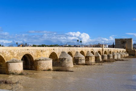 Landschaft der römischen Brücke in Cordoba Spanien