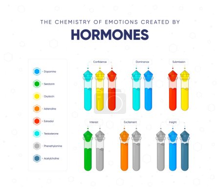 Ilustración de La química de las emociones creadas por las hormonas. La dependencia del estado y el estado de ánimo de la persona en el fondo hormonal. Nombres de hormonas y frascos médicos llenos de hormonas. Ilustración vectorial - Imagen libre de derechos
