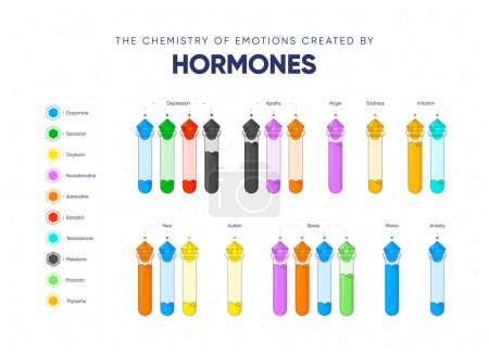 The chemistry of emotions created by hormones. Dependence of the state and mood of the person on hormonal background. Names of hormones and medical flasks filled with hormones. Vector illustration