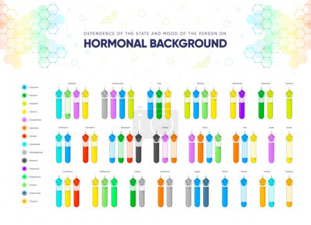 Illustration for Dependence of the state and mood of the person on hormonal background. Names of hormones and combination of medical flasks filled with hormones reflecting the state of a person. Vector illustratio - Royalty Free Image