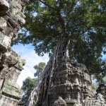 Prasat Ta Prohm, Angkor Thom, Cambodia