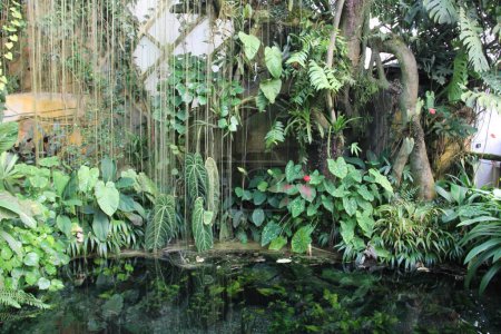 Téléchargez les photos : Un étang en serre fata morgana dans le jardin botanique Prague - en image libre de droit