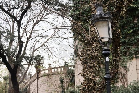 Téléchargez les photos : A lamp in Parc de la Ciutadella, Barcelona, Spain - en image libre de droit