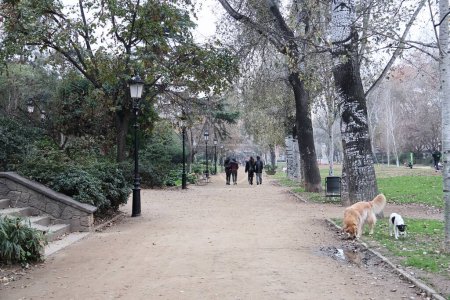 Téléchargez les photos : Dogs and people walking through Parc de la Ciutadella in Barcelona, Spain - en image libre de droit