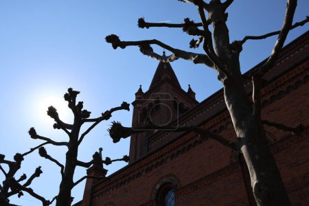 Árboles frente a la Iglesia de Santo Tomás en Copenhague, Dinamarca
