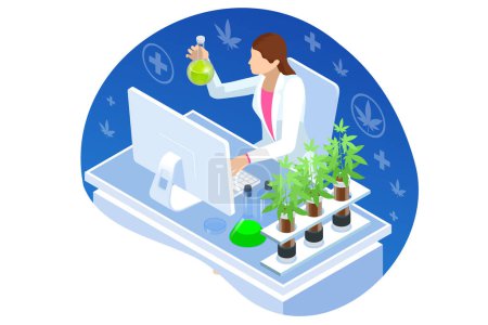 Illustration for Isometric testing cannabis buds for the extraction of medicinal oil. Herbal alternative medicine, cbd oil, pharmaceptical industry. Cbd hemp oil - Royalty Free Image
