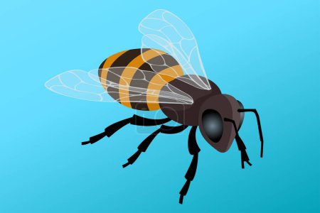 Isometrischer Honigbienenflug. Menschen züchten Honigbienen, um Bienenprodukte zu erhalten: Wachs, Honig, Gift, Propolis, Bienenbrot.