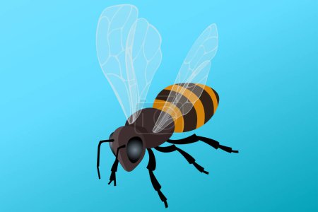Isométrico vuelo de abejas melíferas. La gente cría abejas para obtener productos de abejas: cera, miel, veneno, propóleo, pan de abeja.