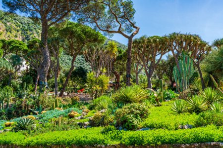 Foto de Jardín botánico La Alameda en Gibraltar, Reino Unido - Imagen libre de derechos