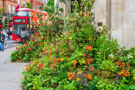 Foto de LONDRES, Reino Unido - 24 de mayo de 2023: Una exhibición floral decora una tienda en Chelsea durante la exposición anual de arte floral Chelsea in Bloom en Londres - Imagen libre de derechos