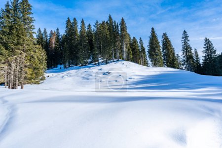 Winter landscape with snow covered Dolomites in Kronplatz, Italy
