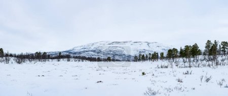 Wide panoramic view of winter landscape in Abisko National Park, Abisko, Sweden
