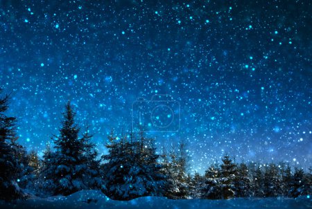 Foto de Pinos cubiertos de nieve en la noche helada. - Imagen libre de derechos