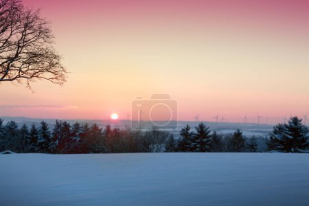 Foto de Paisaje invernal con nieve cubierta de árboles y puesta de sol. - Imagen libre de derechos