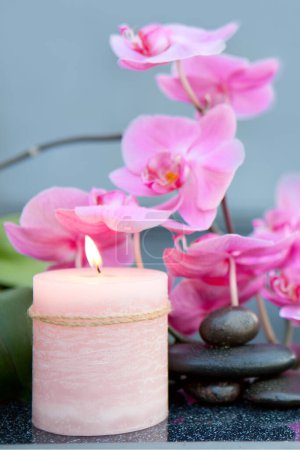 Téléchargez les photos : Pierres de basalte zen et orchidée à la rosée - en image libre de droit